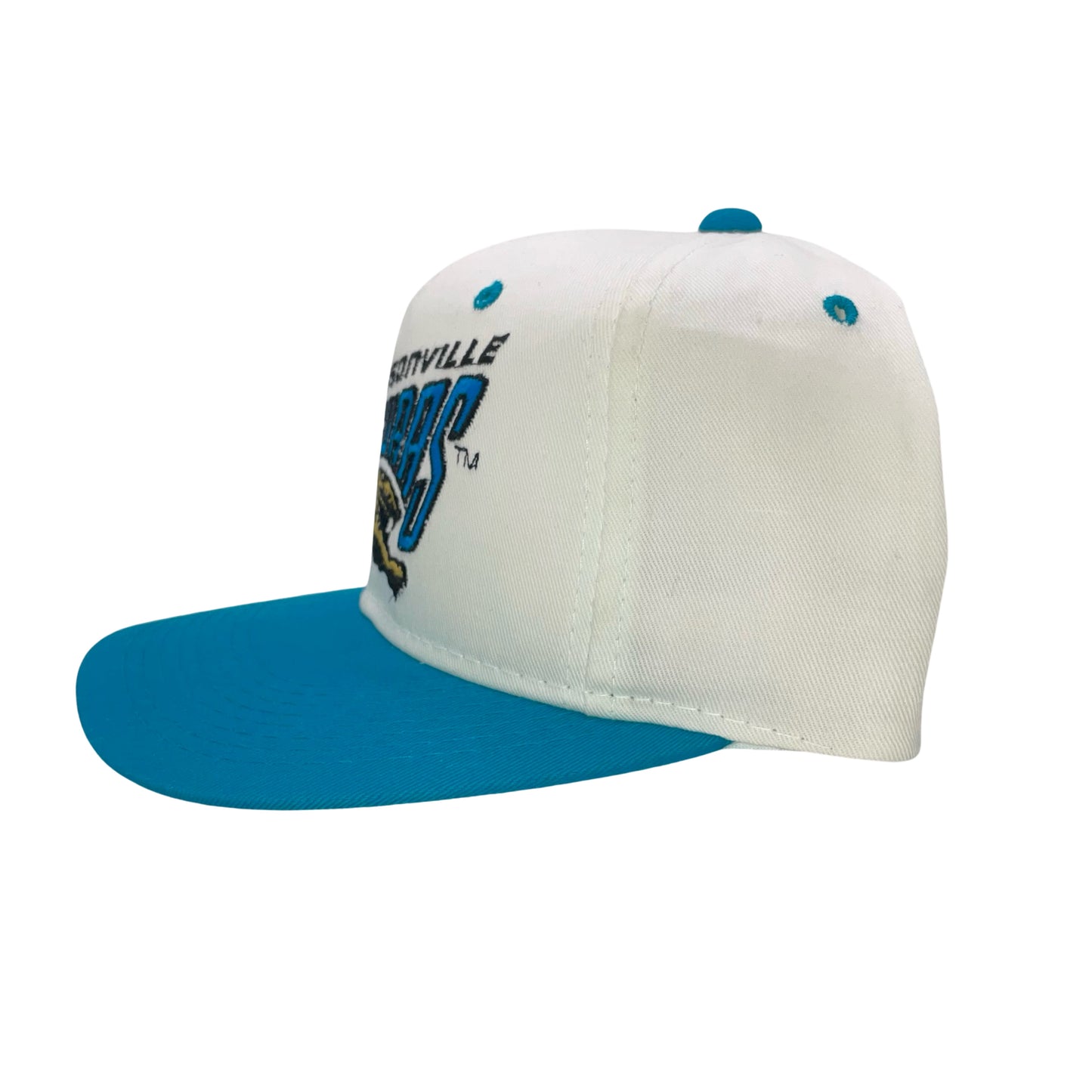 Vintage Jacksonville Jaguars banned logo hat