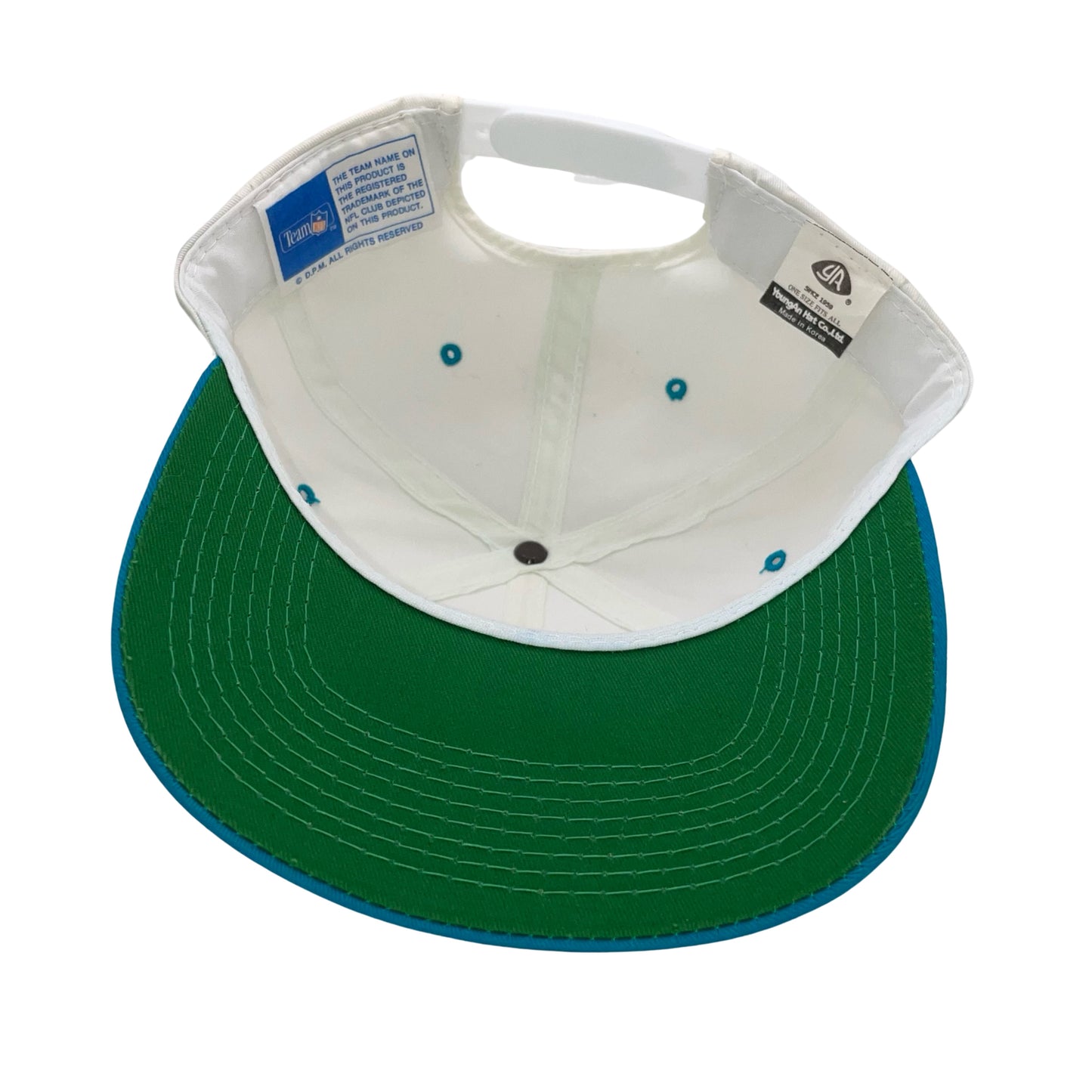 Vintage Jacksonville Jaguars banned logo hat