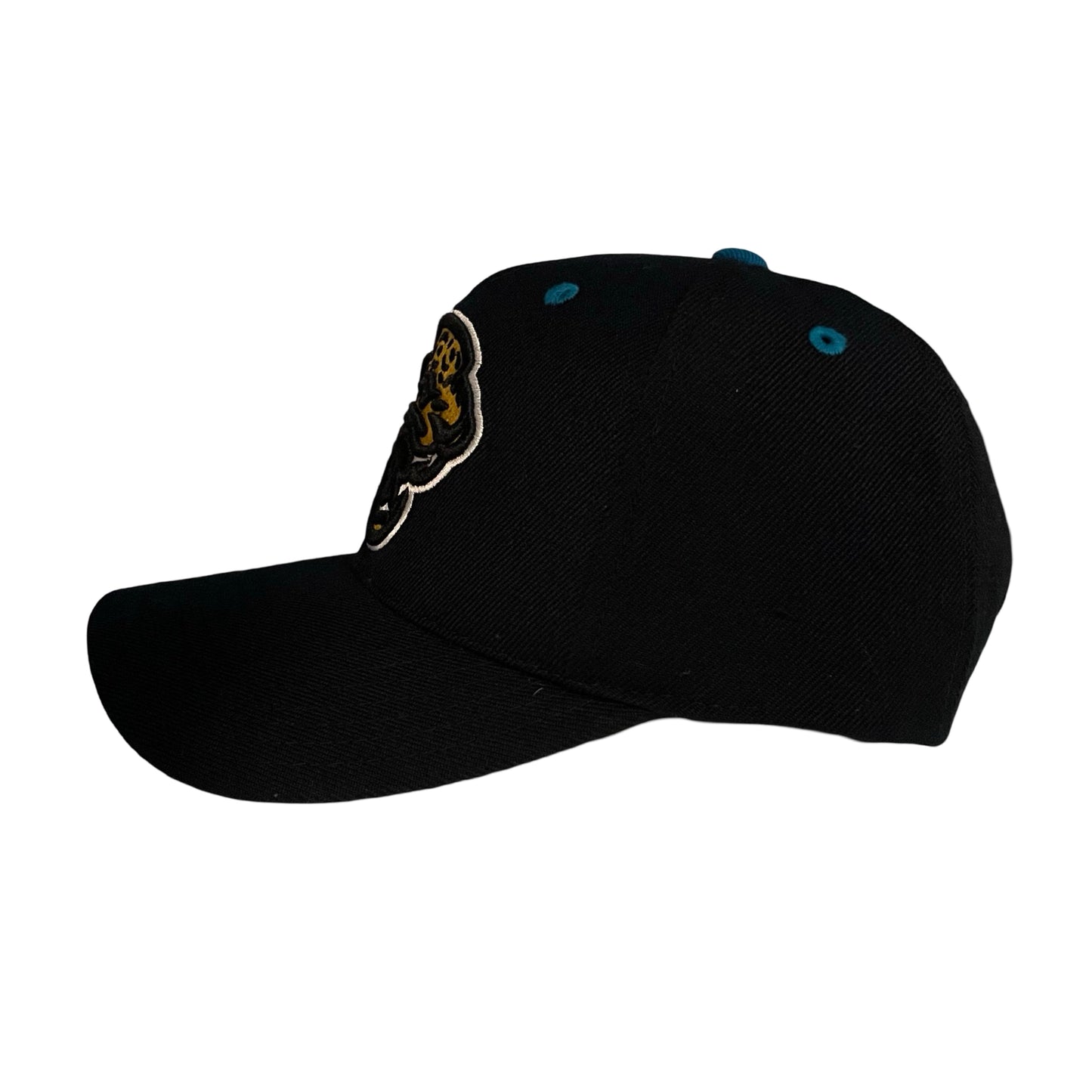 Vintage Jacksonville Jaguars AMERICAN NEEDLE hat