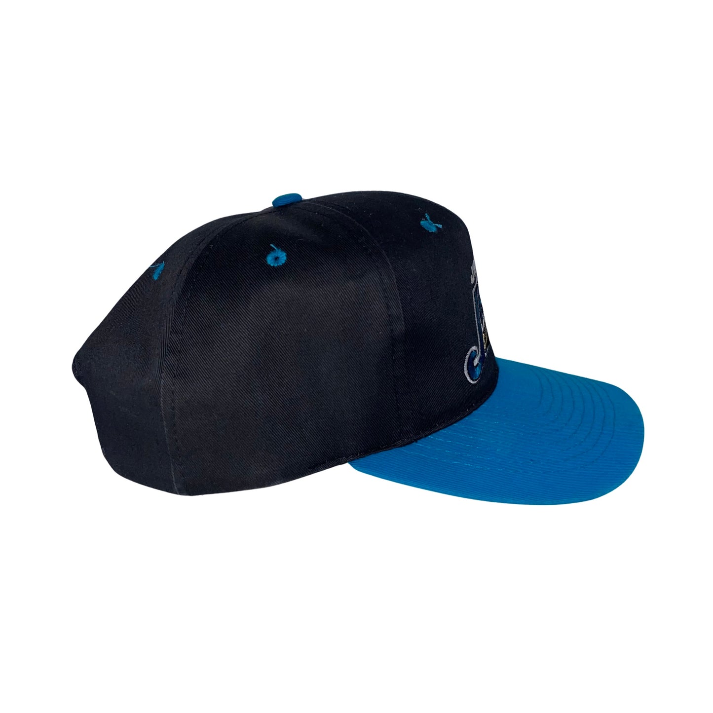 Vintage Jacksonville Jaguars banned logo hat