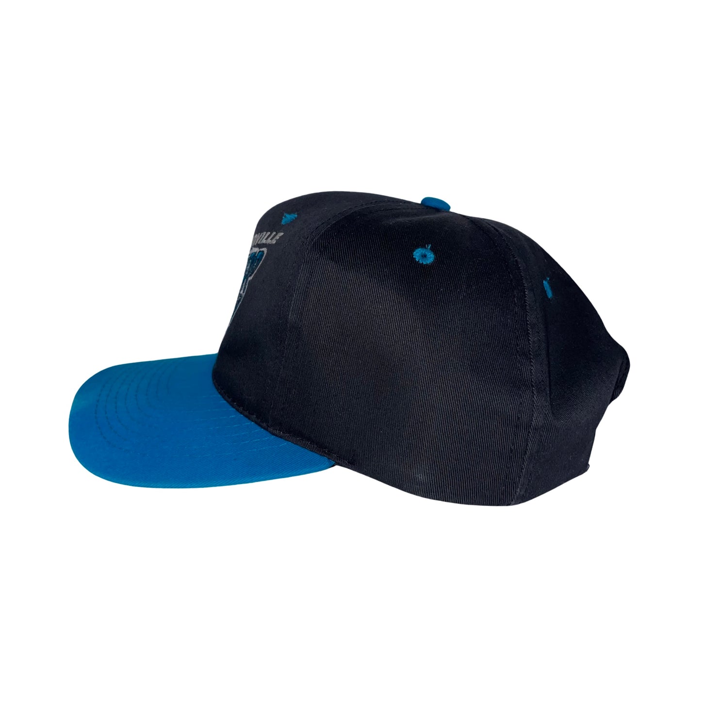 Vintage Jacksonville Jaguars banned logo hat