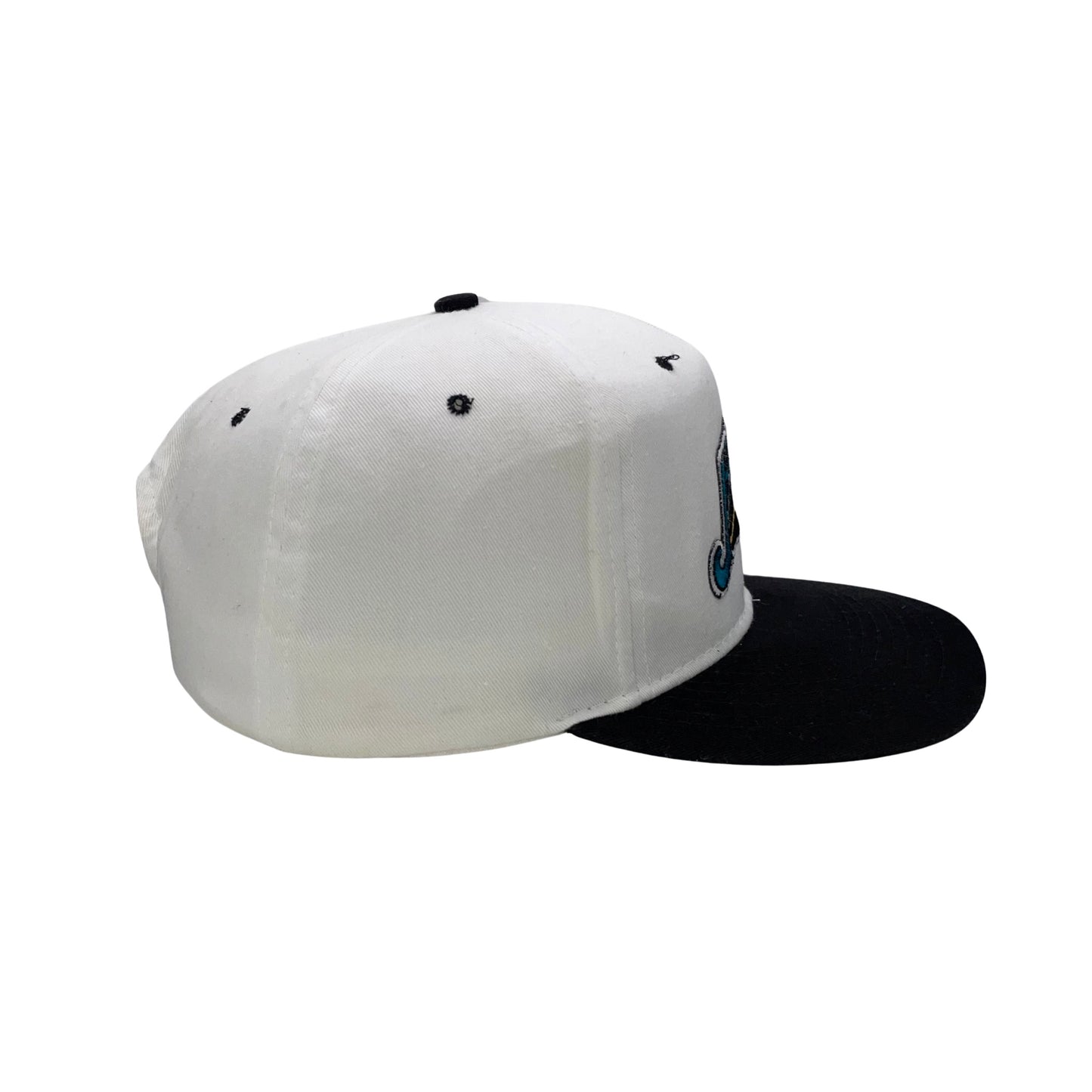 Vintage Jacksonville Jaguars banned logo hat