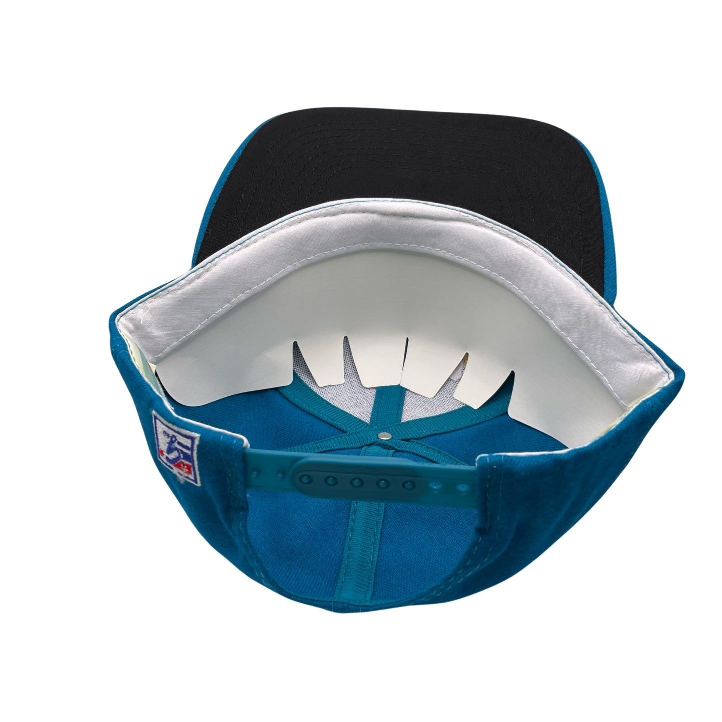 Vintage Jacksonville Jaguars THE GAME banned logo hat