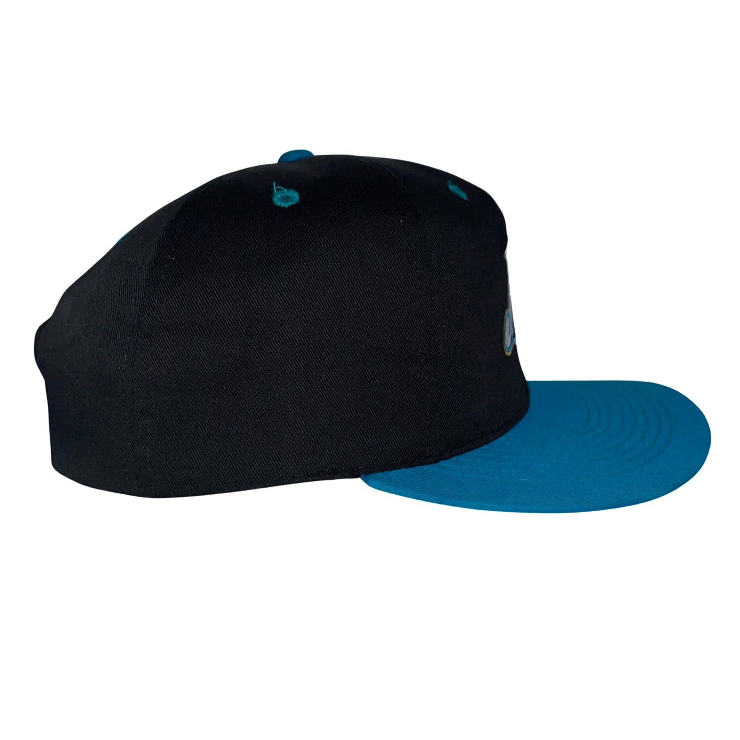 Vintage Jacksonville Jaguars hat