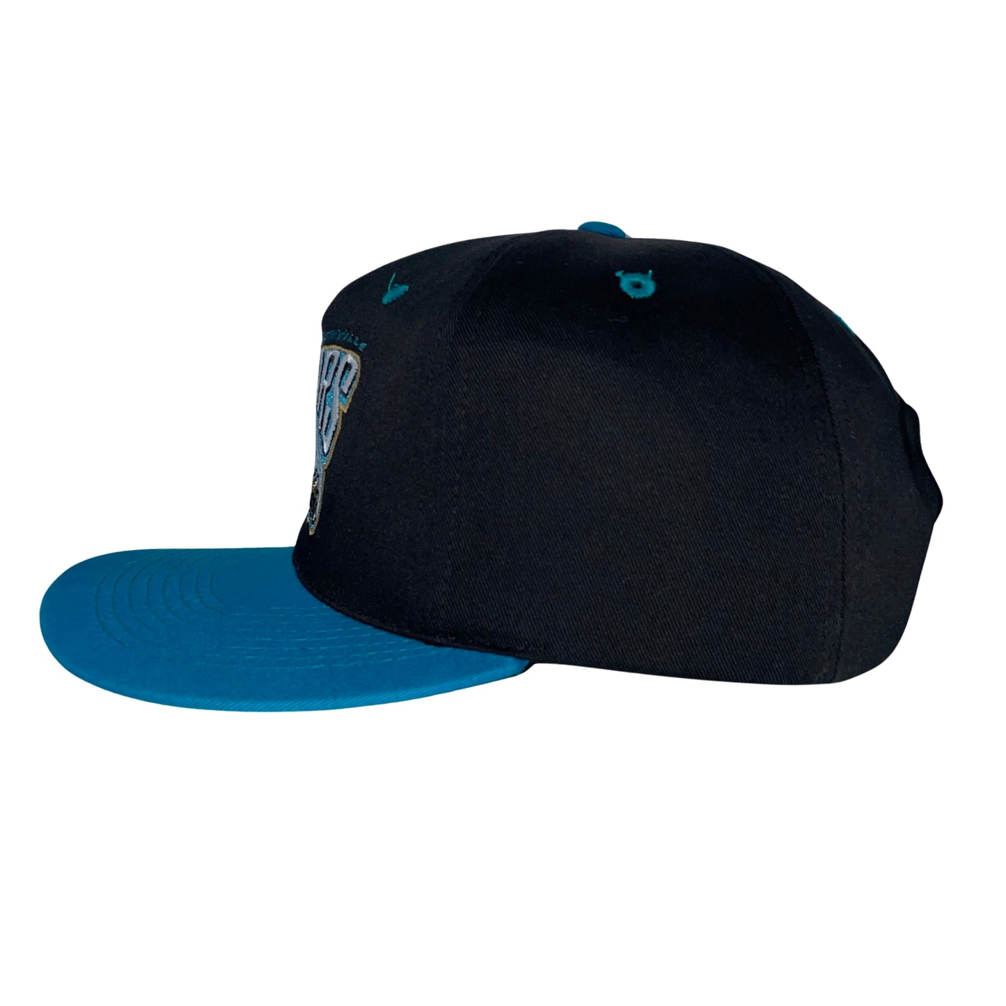 Vintage Jacksonville Jaguars hat