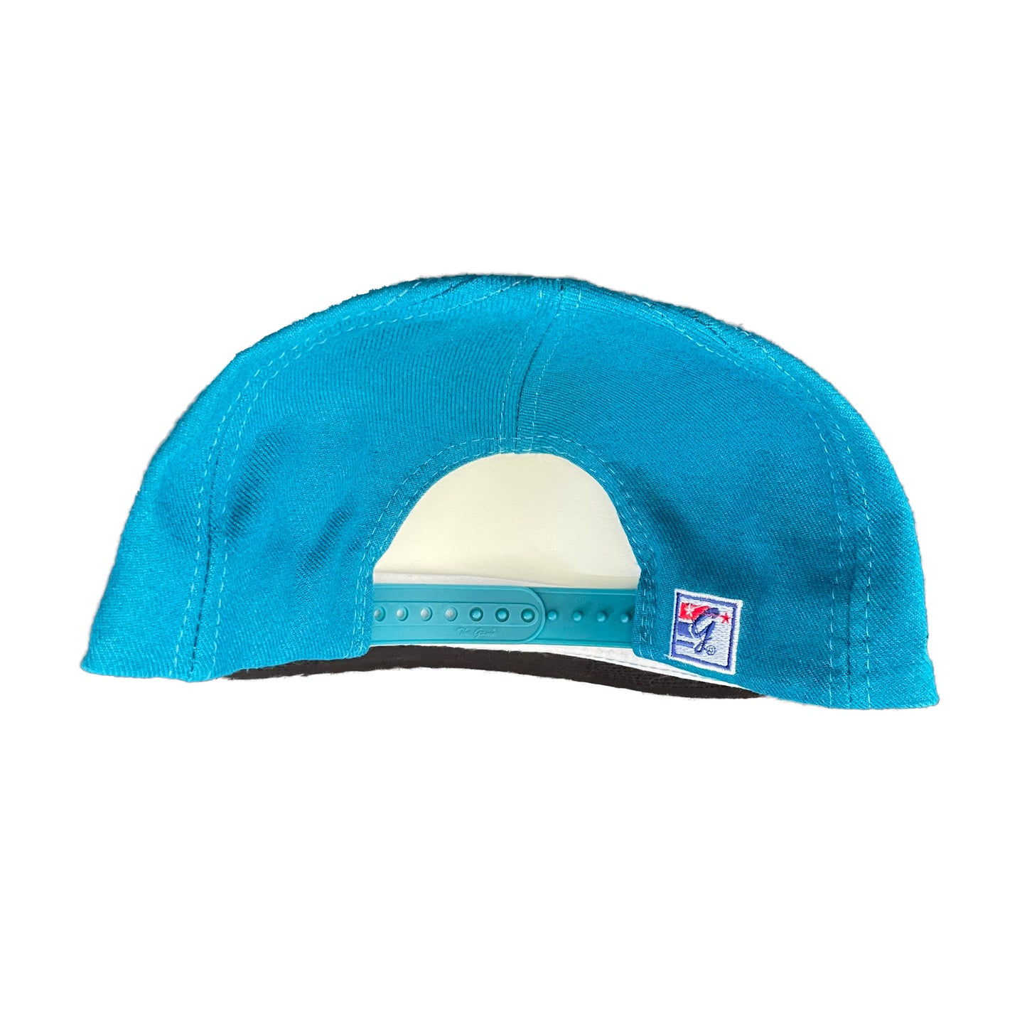 Jacksonville Jaguars THE GAME banned logo hat