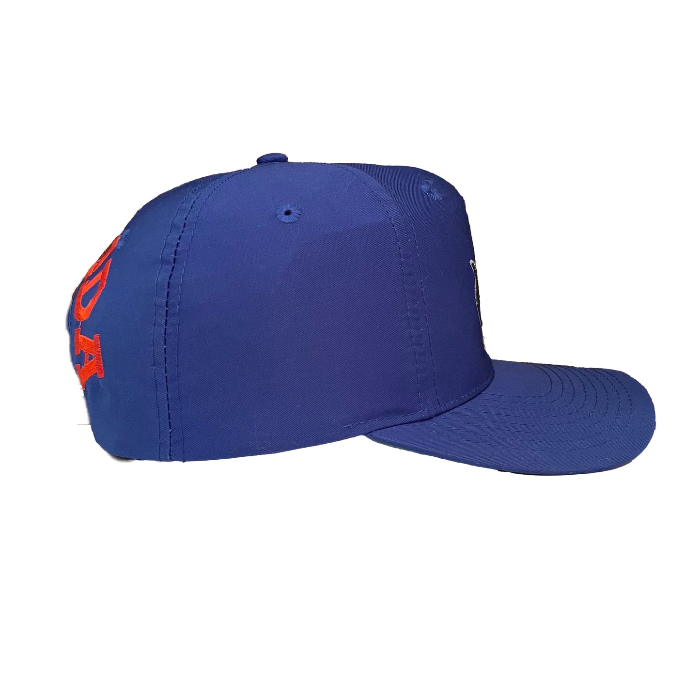 Florida Gators UF hat