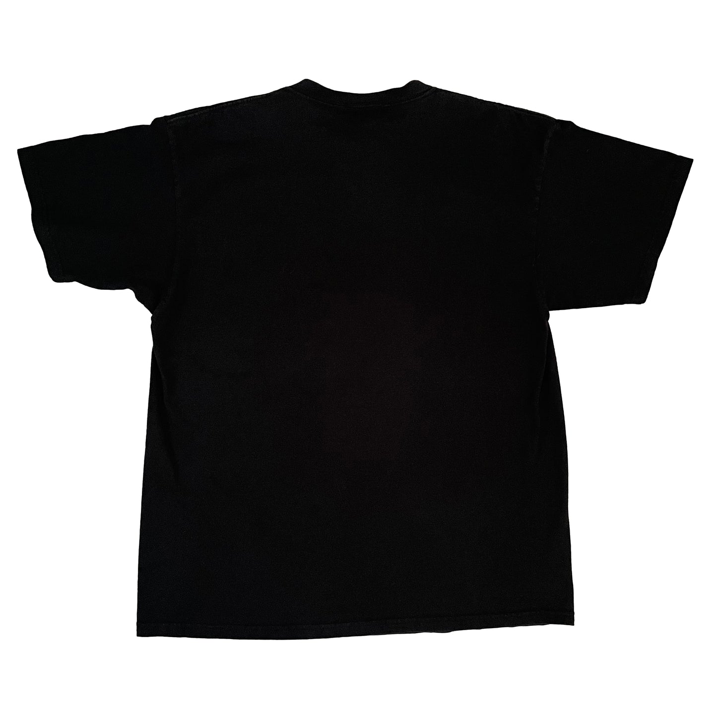Pittsburgh Steelers NUTMEG Jerome Bettis shirt