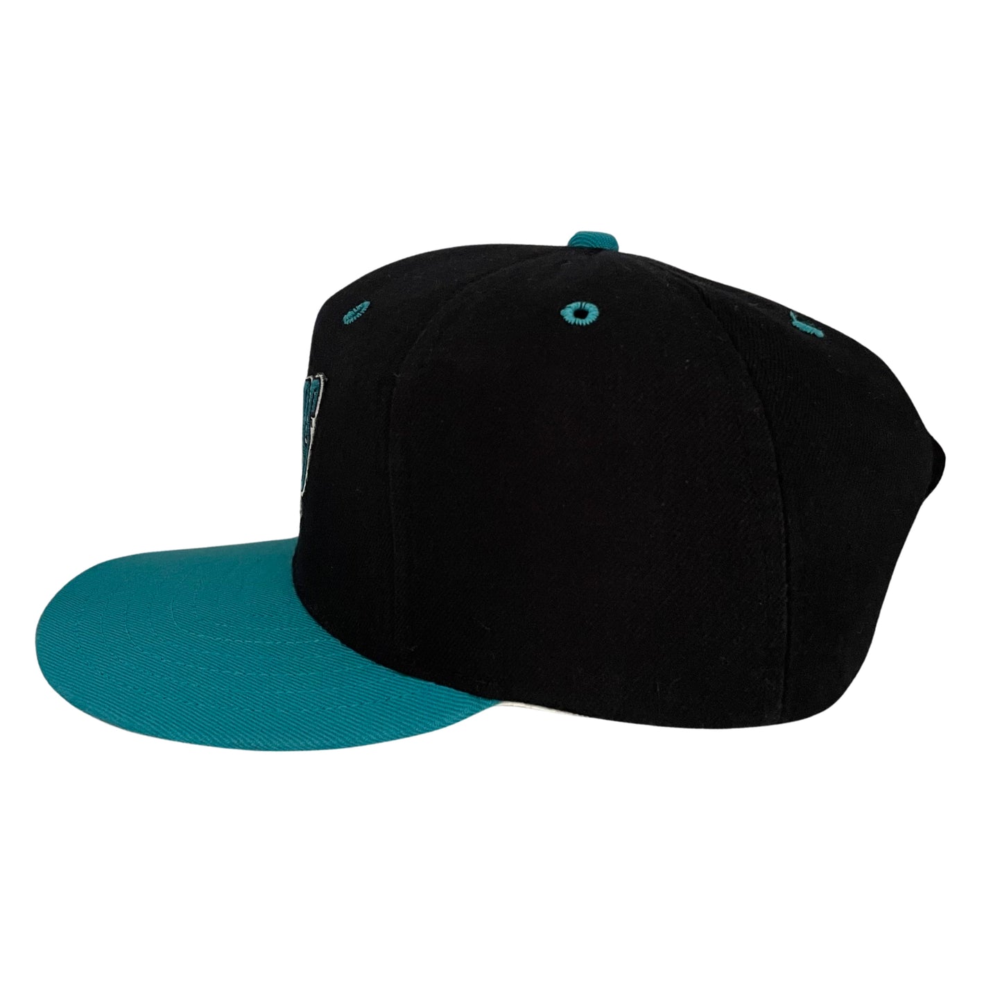 Vintage Jacksonville Jaguars banned logo hat