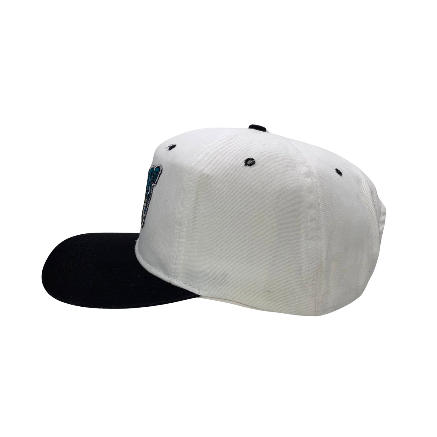 Vintage Jacksonville Jaguars banned logo hat