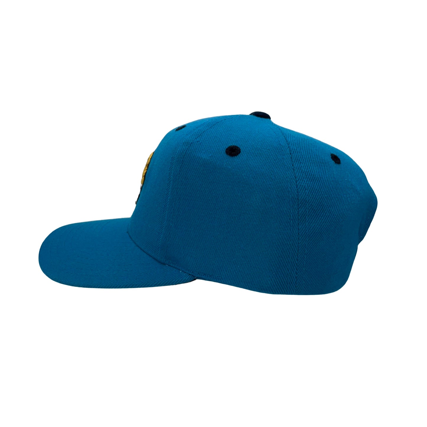 Vintage Jacksonville Jaguars LOGO ATHLETIC hat