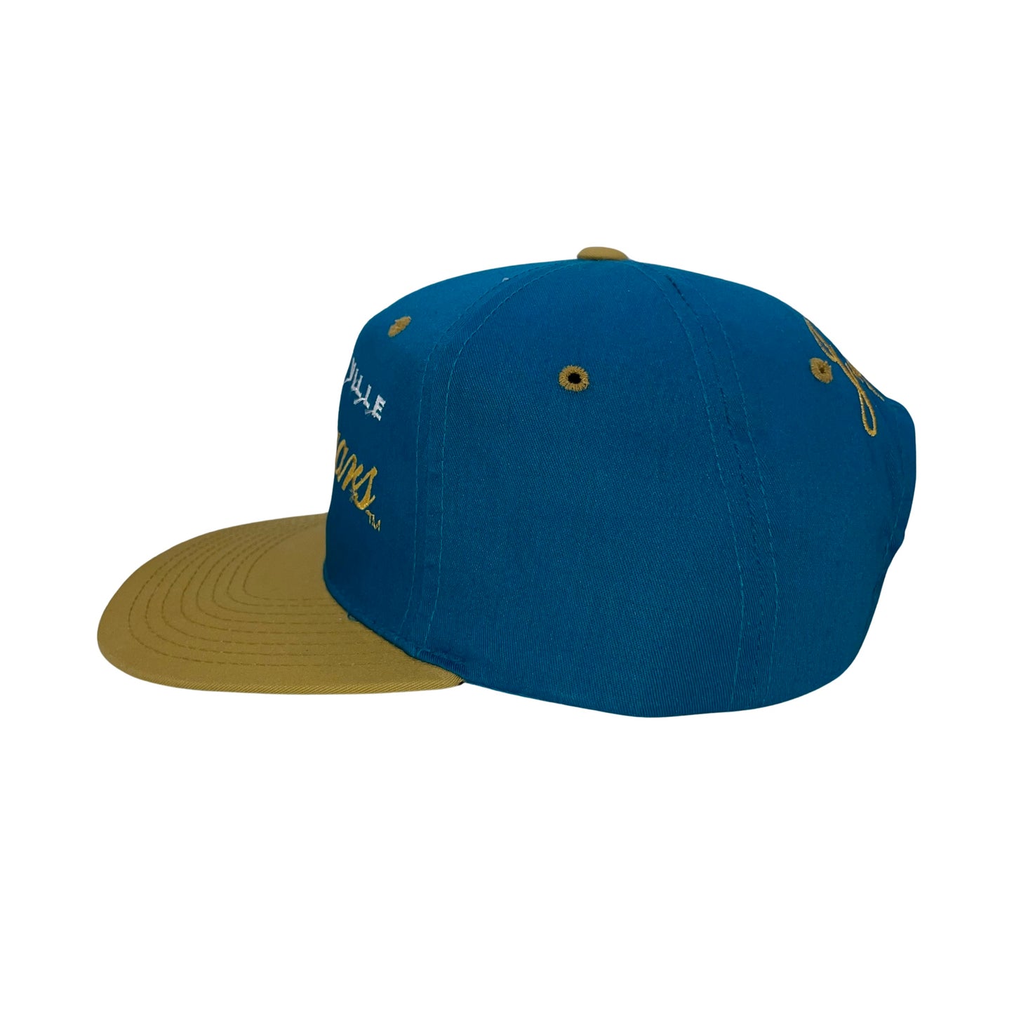 Vintage Jacksonville Jaguars DREW PEARSON hat
