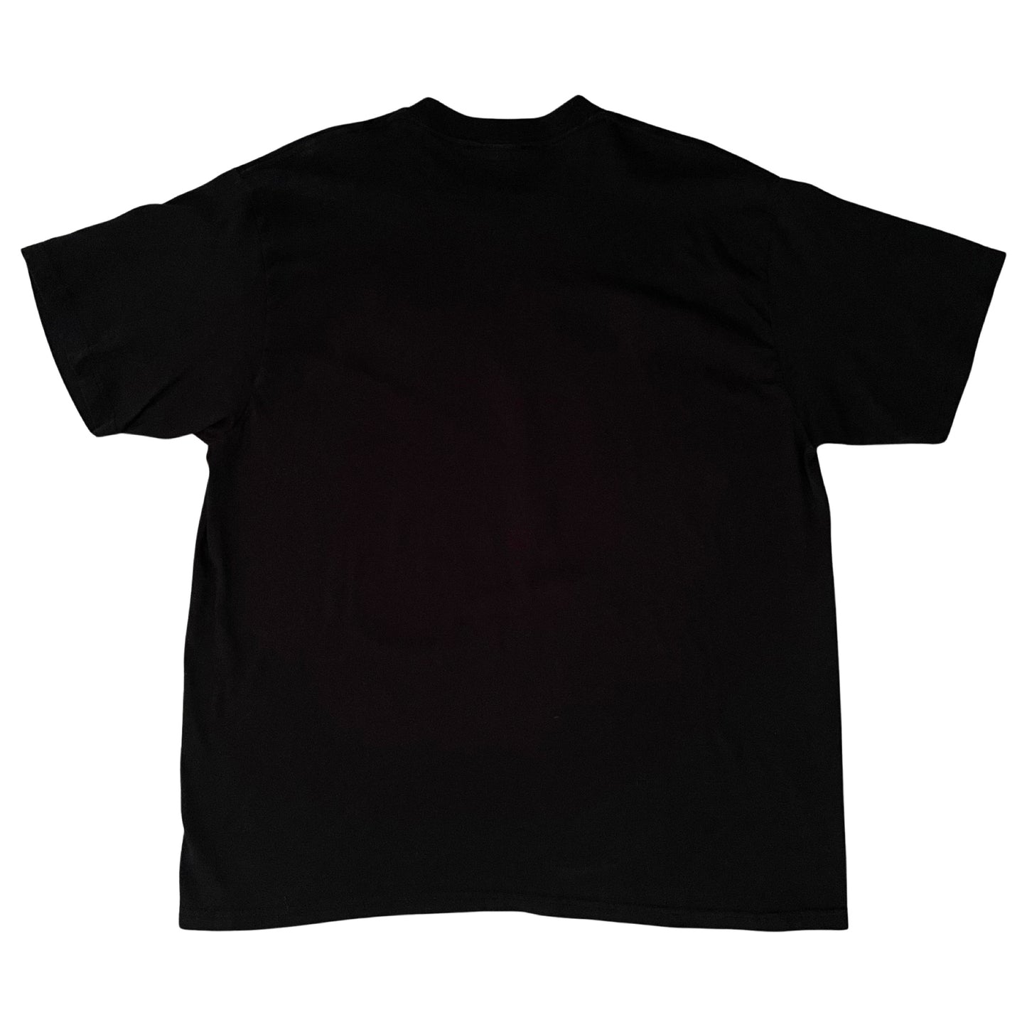 Dale Earnhardt Jr. NASCAR shirt