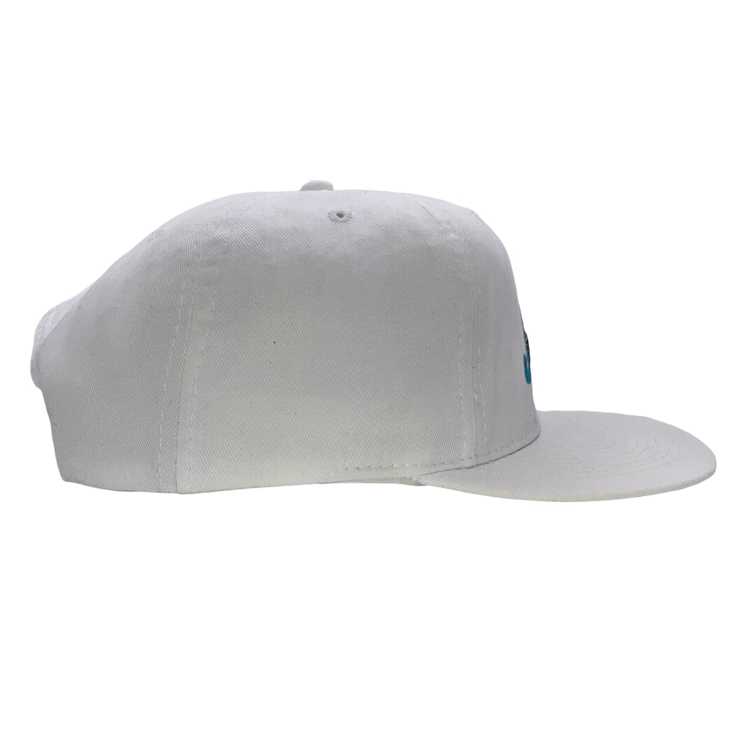 Vintage Jacksonville Jaguars banned logo snapback hat