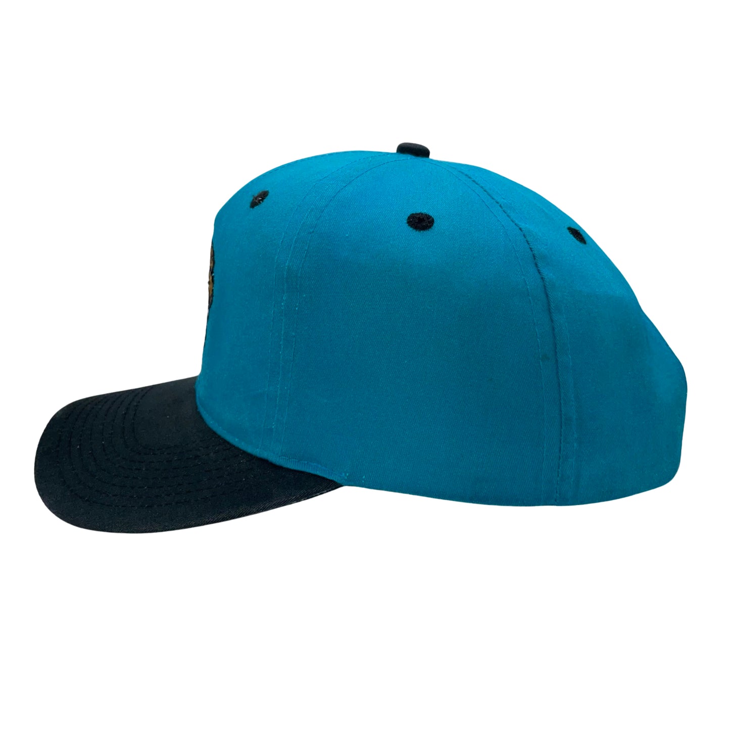 Vintage Jacksonville Jaguars LOGO 7 hat