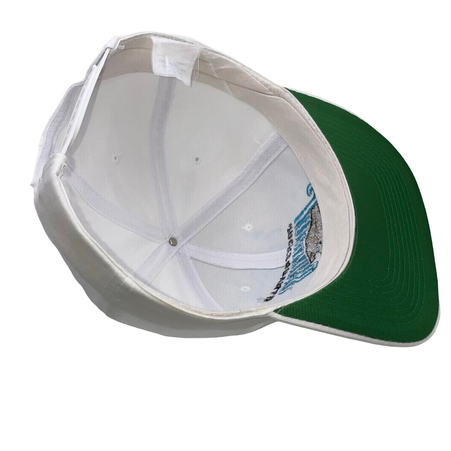 Vintage Jacksonville Jaguars banned logo snapback hat